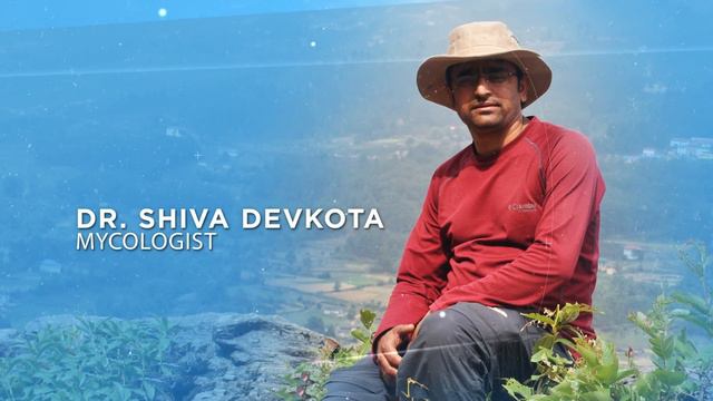 International Mountain Trekking IMT JUNE 2020 Nepal Mushroom Promo Video смотреть онлайн