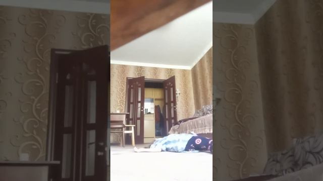 Снимала после еды, очень устала смотреть онлайн