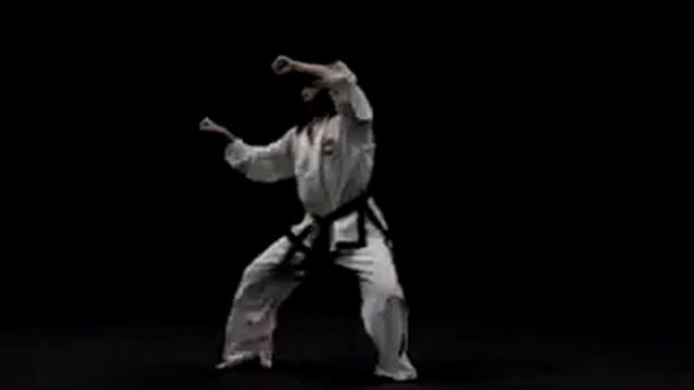 Вон Хё видео тхэквондо туль на зелено-синий пояс, 5 гып хьенг 28 движений комплекс Won Hyo вид сзад смотреть онлайн