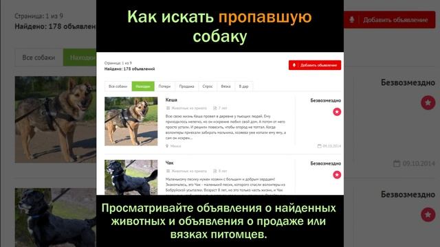 Как искать собаку. Памятка смотреть онлайн