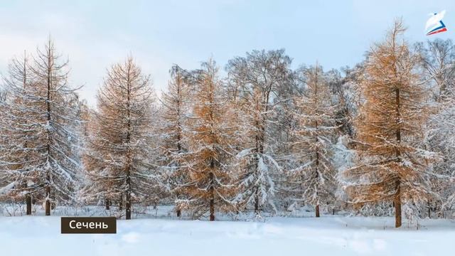5 класс урок история 2 счёт времени смотреть онлайн
