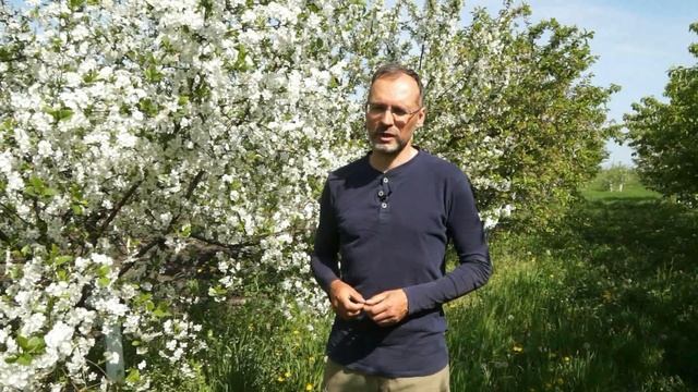 Инструмент для кошения травы смотреть онлайн