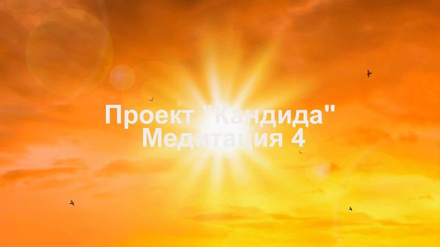 4 Проект _Кандида_