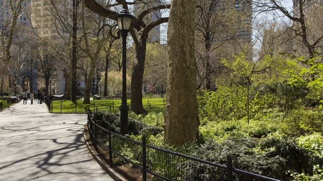 Шум городского парка - звуки природы, пение птиц, шум леса, шум парка, музыка для отдыха смотреть онлайн