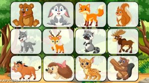 Развивающие мультики для детей Учим животных Лесные животные Обучающее видео для малышей