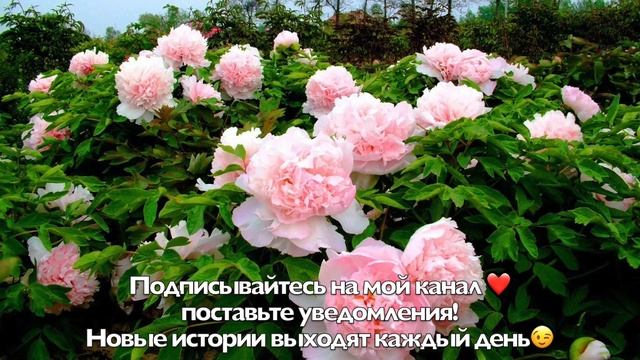 Хочешь потерять подругу, скажи ей, как она поправилась. И прилетит ответка! смотреть онлайн