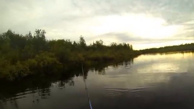 Яркие моменты лета в Салехарде смотреть онлайн