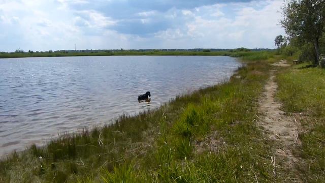 Моя маленькая жадная выдра)) смотреть онлайн