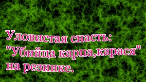 Уловистая снасть: « Убийца карася, карпа» на резинке.