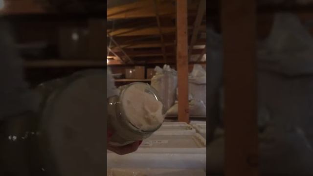 Фасовка в банку: 15 р штука смотреть онлайн