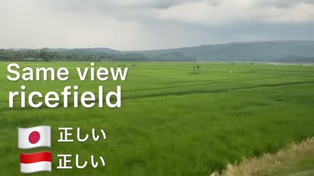 Syarat naik kereta api terbaru antar provinsi west Java - East Java Bonus dapat kenalan baru ?happy смотреть онлайн