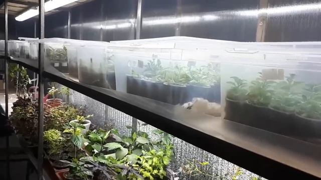 Начали посевную! смотреть онлайн