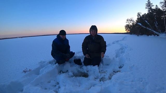 Как и Чем Зимой Ловить Пикуля - Лучшая Наживка для Ловли Окуня!!! смотреть онлайн