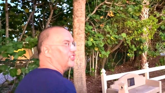 США ВЛОГ ВЕЧЕРНИЙ РОМАНТИК И УЖИН /USA VLOG/