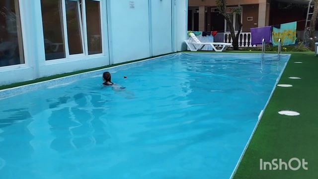 ЛАЗАРЕВСКОЕ / СОЛОНИКИ / Гостевой дом Ношен // Весело в бассейне смотреть онлайн