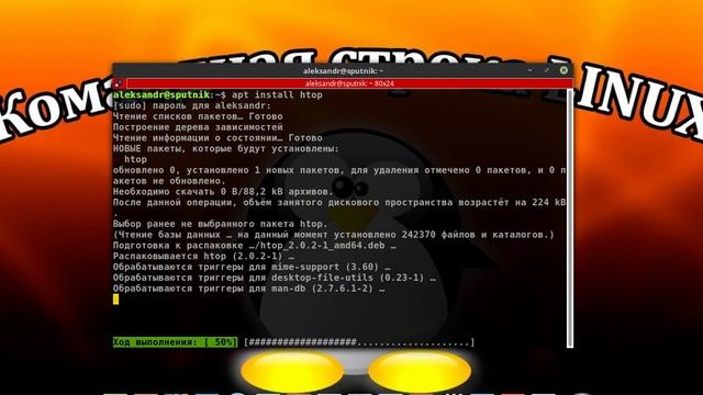 Команда htop смотреть онлайн