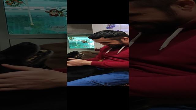 VID_20230226_180129.mp4