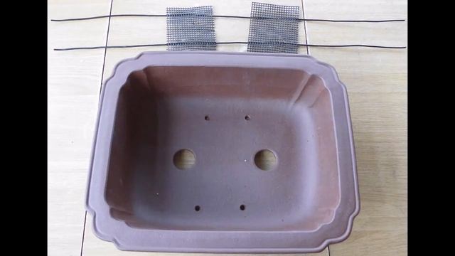 Bonsái JUNIPERUS virginiana ´Grey Owl` Proceso смотреть онлайн