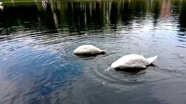 ПАТРИАРШИЕ ПРУДЫ "ПАТРИКИ". Самый дорогой р-он Москвы. Я в ШОКЕ от количества дорогущих машин смотреть онлайн