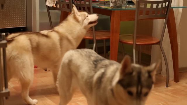 Изображение 004 смотреть онлайн