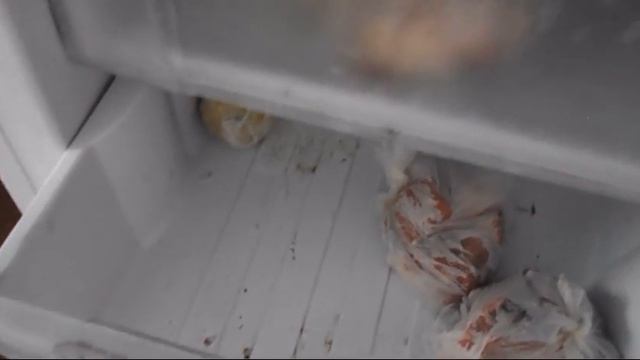 Какая вода замерзает быстрее горячая или холодная 2 смотреть онлайн