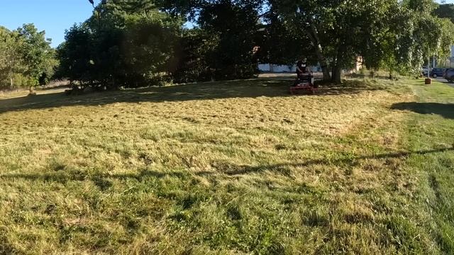 ATTACKED while Mowing this OVERGROWN YARD... смотреть онлайн