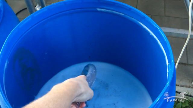 Пенная вечеринка 2019, Fazenda promo смотреть онлайн