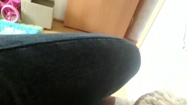 Кто такой воробей домашний воробей смотреть онлайн