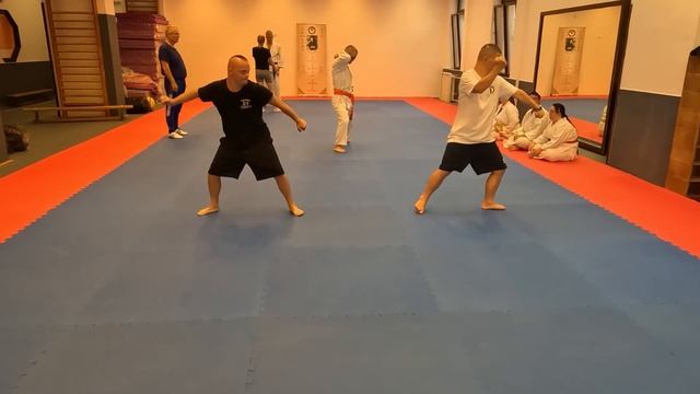 budapest 2023 OPEN PARAKARATE UNGHERIA - TOUKON KARATE-DO VELLETRI смотреть онлайн