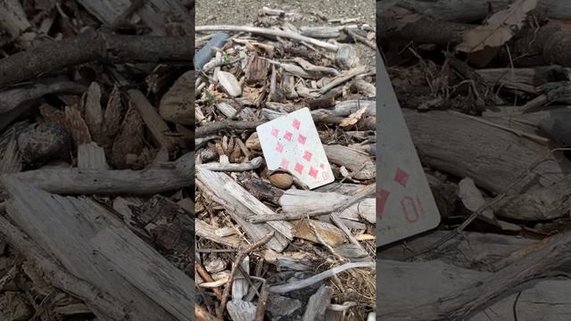 Какой знак дали Высшие силы? смотреть онлайн