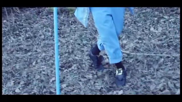 LES FABLES DE LA FOUTAIZE 1651-2013 смотреть онлайн