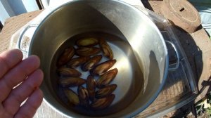 РЕЧНАЯ  " УСТРИЦА " ! ГОТОВИМ ПРОСТО И ВКУСНО !