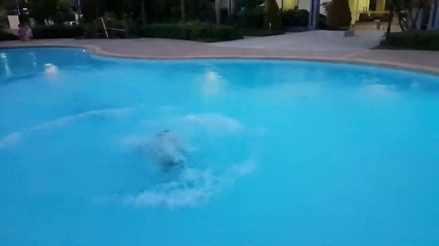 Сальто в бассейн