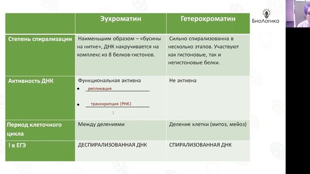 Лекция 7-1. Ядро. Часть 1. смотреть онлайн