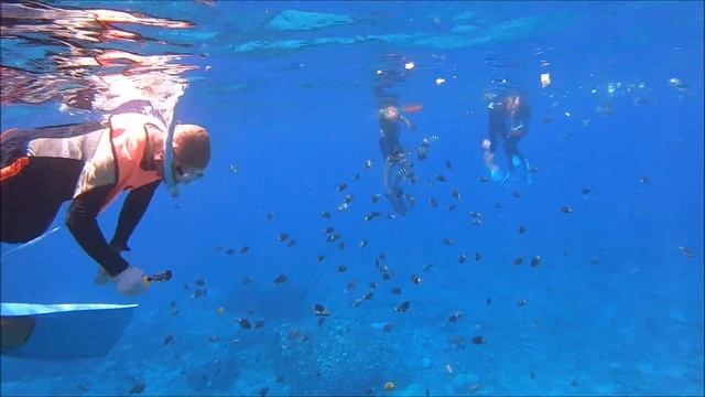 Catamaran & Snorkeling Trip - Coin De Mire - Mauritius