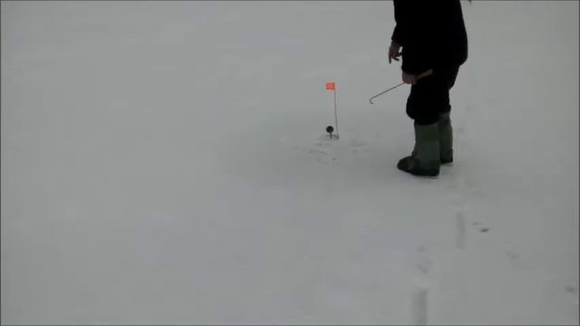 Сысертское озеро. Ловля щуки на верховку. смотреть онлайн