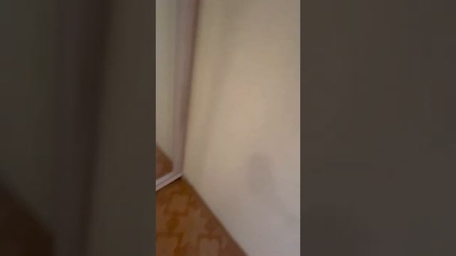 Выборгское шоссе 17 к 3 смотреть онлайн