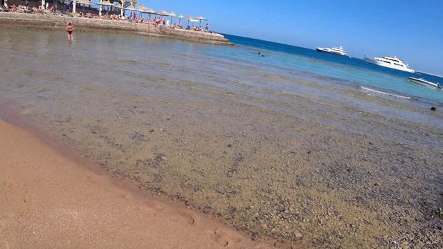 KING TUT Aqua Park BEACH RESORT 4*. Обзор отеля #1 Территория, пляж, номер, обед.