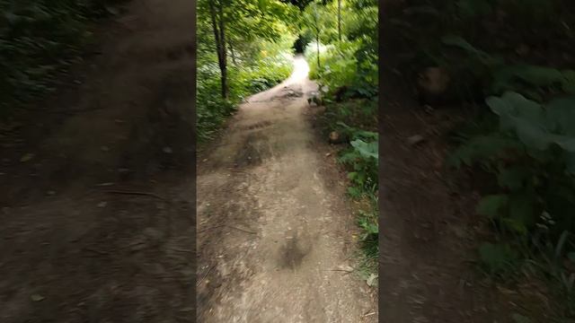 Велопрогулка