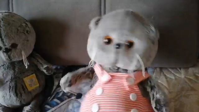 Влог с Басиками / Влог с басиком беби / выходной с Басиком смотреть онлайн