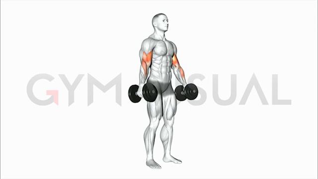 Dumbbell Alternate Biceps Curl смотреть онлайн