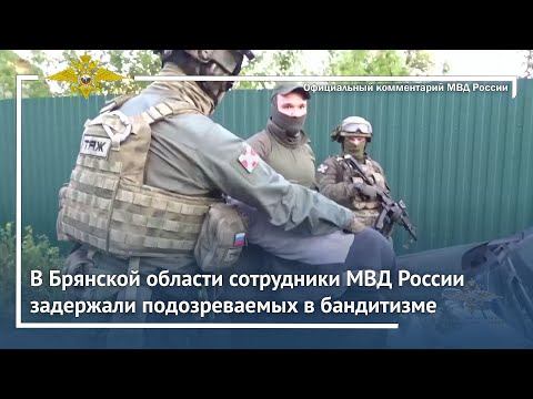 Ирина Волк: В Брянской области сотрудники МВД России задержали подозреваемых в бандитизме смотреть онлайн