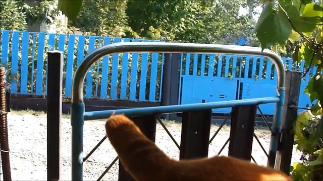 Калитка из дужек железной кровати! смотреть онлайн