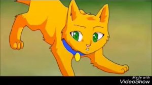 Коты-Воители?Бой Долгохвоста и Огонька.