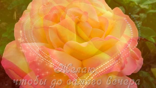 Желаю волшебного утра! ❤️Пусть утро распустится дивным цветком!❤️Good morning!❤️Позитивное пожелани смотреть онлайн