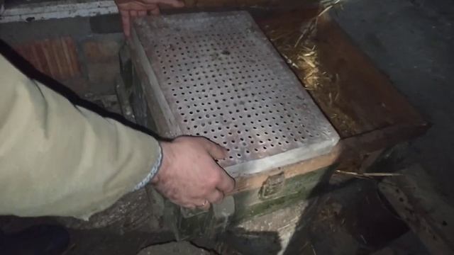 ПОЛУЧИЛ БРЕСС ГАЛЬСКИХ КУР В ЯЙЦЕ ПОСЫЛКОЙ И СРАЗУ ПОДЛОЖИЛ ПОД КУРИЦУ. смотреть онлайн