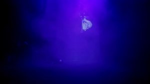 Изида под покрывалом - Последнее Испытание