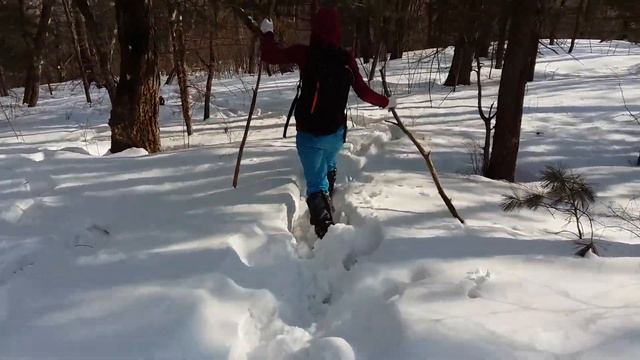 дорога снежная на горе Сестра (Лазовский район) 1671м смотреть онлайн