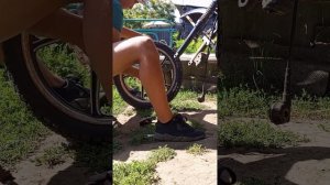 Замена подшипников на мопеде альфа | разборка колеса | 1 часть