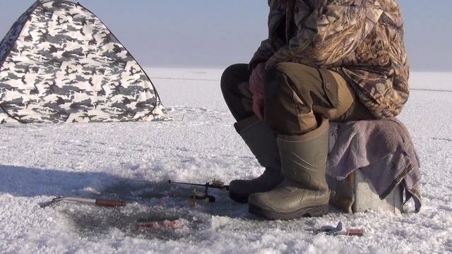 Коротко - вобла идёт! смотреть онлайн